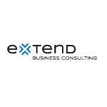 Extend Business Consulting