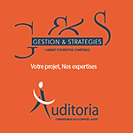 Gestion & Stratégies - Auditoria