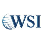 WSI - Conseil & Mise en Oeuvre de Stratégie Marketing Digitale