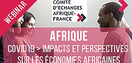 Covid19 – Quels impacts et perspectives sur les économies africaines ? Quelles répercussions sur les marchés monétaires