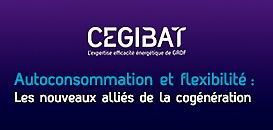 Autoconsommation et flexibilité : Les nouveaux alliés de la cogénération | Webinar Cegibat