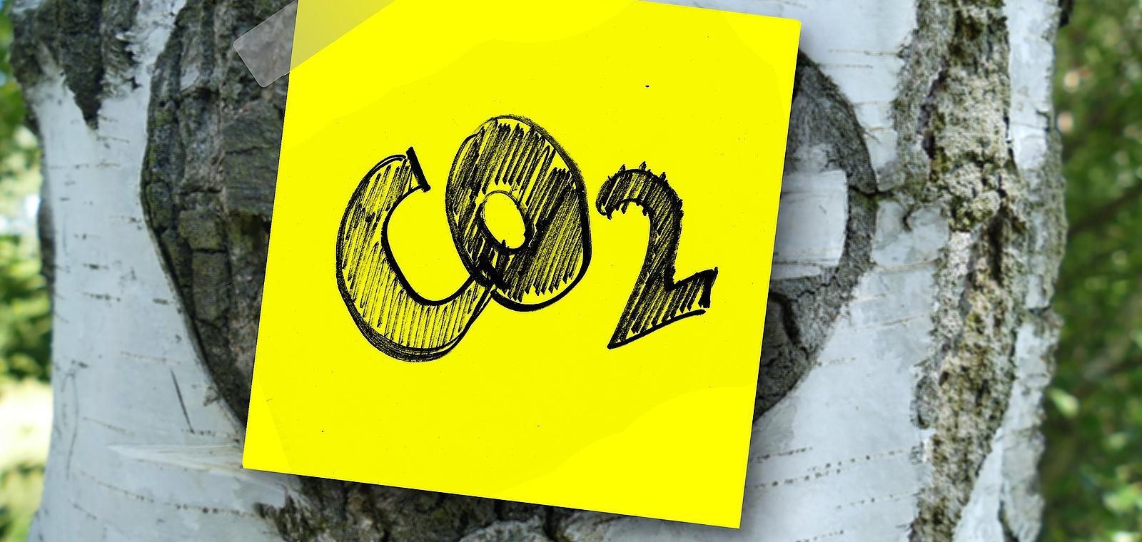 Comprendre les enjeux climatiques et le bilan carbone de son entreprise