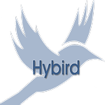 Hybird - Crème CRM